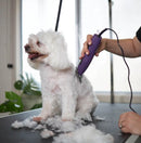 Kazoo Pro Plush Brushless Dog Clipper