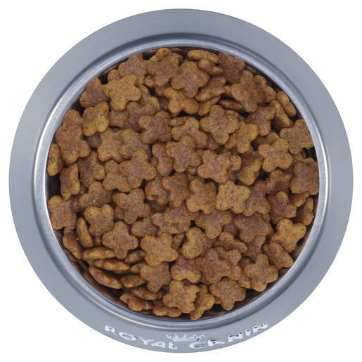 Royal Canin Mini Dog Food Adult