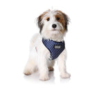 DOOG NEOFLEX SOFT DOG HARNESS STELLA LARGE