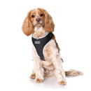 DOOG NEOFLEX SOFT DOG HARNESS LASSIE MEDIUM