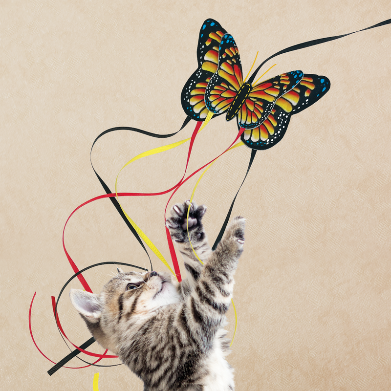 Kong Teaser Butterfly Cat Toy