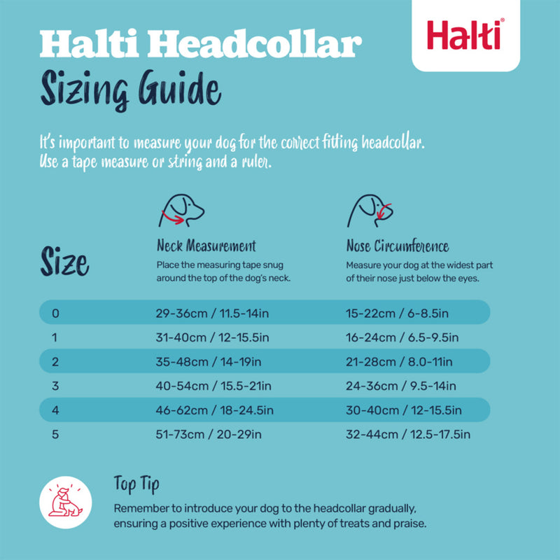Halti Headcollar Black By Company Of Animal Size 3