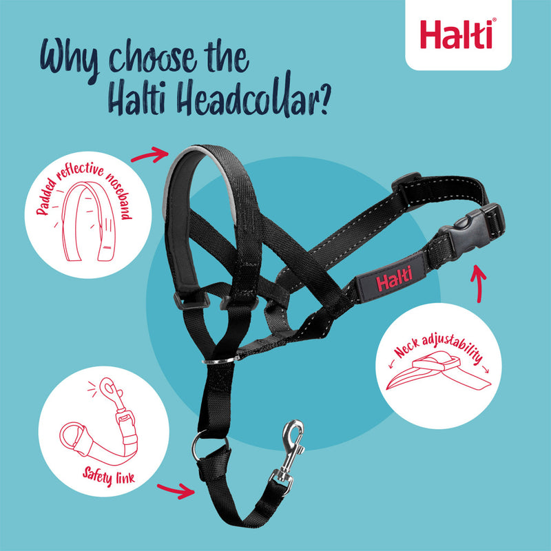 Halti Headcollar Black By Company Of Animal Size 3