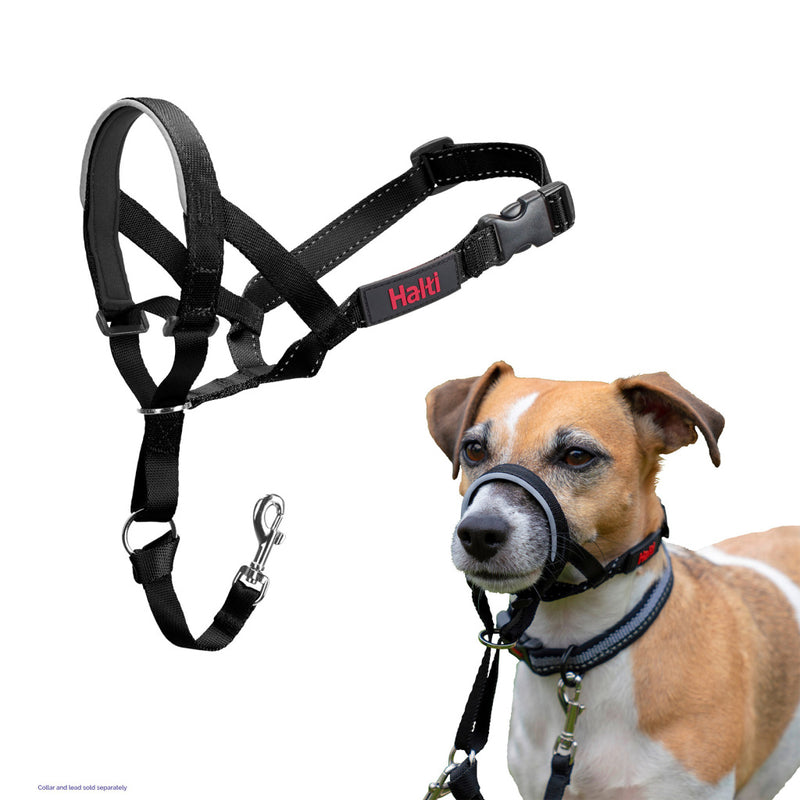 Halti Headcollar Black By Company Of Animal Size 3
