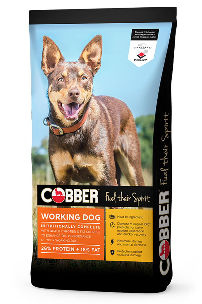 Cobber Working Dog Dry Dog Food 20kg * Click & Collect Or Local Delivery Only *