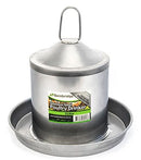 Bainbridge Stainless Steel Poultry Drinker - 2 Litre