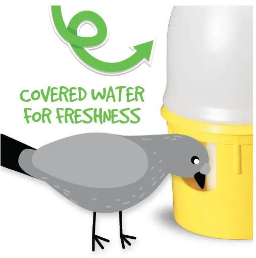 Bainbridge Siphon Pigeon Drinker 6 Litre