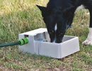 Bainbridge Automatic Pet Waterer Self Filling Dog Bowl 2 Litre