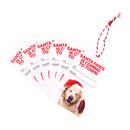 Splosh Christmas Gift Tags Set Of 6 Coming To Town