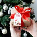 Splosh Christmas Gift Tags Set Of 6 Coming To Town