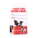 Splosh Christmas Gift Tags Set Of 6 Got You Something