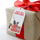 Splosh Christmas Gift Tags Set Of 6 Got You Something