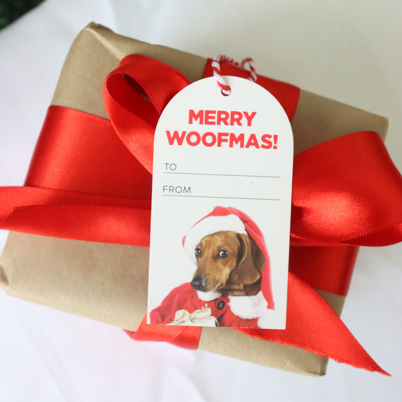 Splosh Christmas Gift Tags Set Of 6 Woofmas