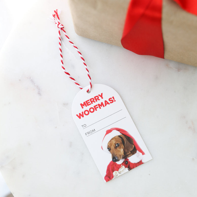 Splosh Christmas Gift Tags Set Of 6 Woofmas