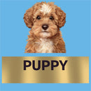 Advance Puppy Food For Oodles Turkey With Rice 13kg