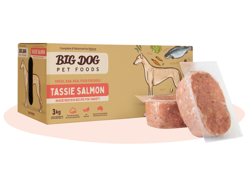 Big Dog Barf Tassie Salmon Raw Dog Food Frozen 3kg