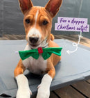 Kazoo Christmas Bow Ties Green Medium