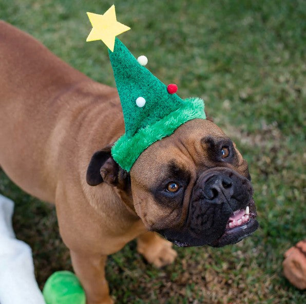 Kazoo Christmas Santa Paws Tree Hat