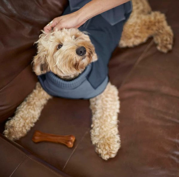 Kazoo Kick Back Dog Jumper Grey 40cm