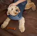 Kazoo Kick Back Dog Jumper Grey 46cm