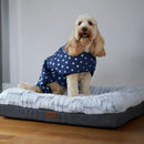 Kazoo Snuggie Dog Jumper Starbright 27cm