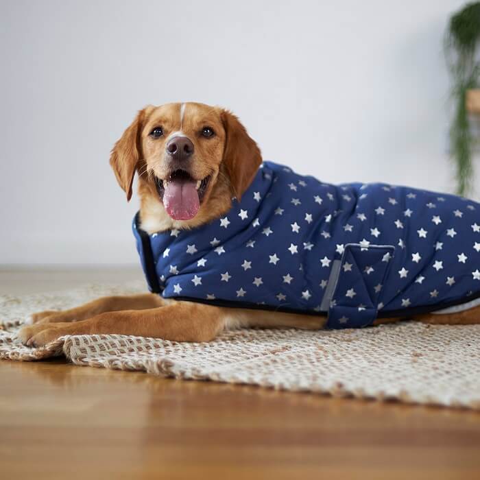 Kazoo Snuggie Dog Jumper Starbright 59cm