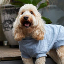 Kazoo Heart Knit Dog Jumper Blue 53cm