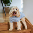 Kazoo Heart Knit Dog Jumper Blue 46cm