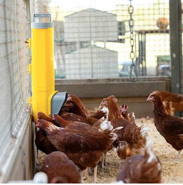 Bainbridge Chook Tower Feeder