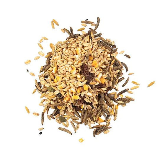 Bainbridge Morning Mix - Black Soldier Fly Larvae, Raisin & Pumpkin Seed For Chickens 680g