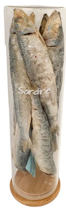 Freezy Paws Dog Treats Freeze Dried Whole Sardines 80g