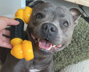 Happy Staffy Co Power Chew Phone Dog Toy