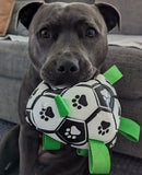 Happy Staffy Co Ronaldog Soccer Ball Dog Toy