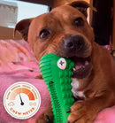 Happy Staffy Co Crocodile Dental Chew Dog Toy