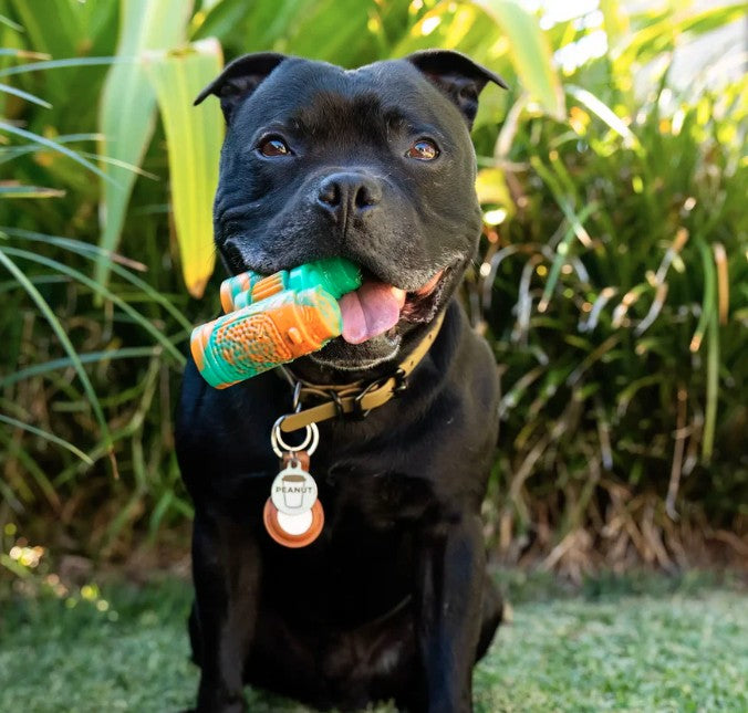 Happy Staffy Co Chewzilla Safari Adventure Collection Dog Toy