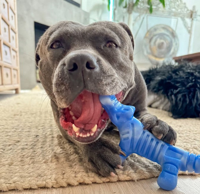 Happy Staffy Co Chewzilla Gator