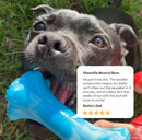 Happy Staffy Co Chewzilla Musical Bone
