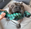 Happy Staffy Co Chewzilla Sea Chomper