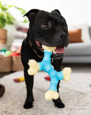 Happy Staffy Co Cross Bone Dog Toy