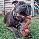 Happy Staffy Co Staffy Balboa Dog Toy