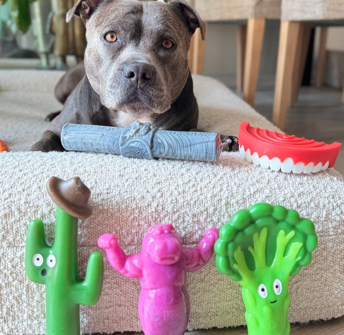 Happy Staffy Co Cactus Cowboy Dog Toy