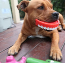 Happy Staffy Co Chatter Chompers Dog Toy