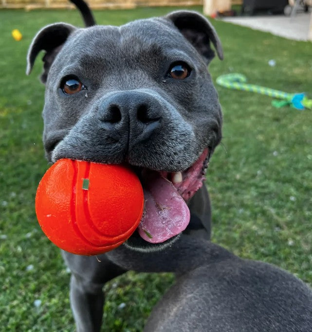 Happy Staffy Duraball 7cm Purple Dog Toy