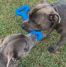 Happy Staffy Co Tommy Tug Handle Purple Dog Toy