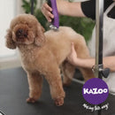 Kazoo Pro Plush Brushless Dog Clipper