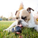 KONG EXTREME DOG TOY BLACK LARGE