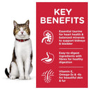 Hill's Science Diet Adult 7+ Active Longevity Cat Food Pouches Chicken 12x85g