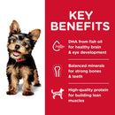 Hill's Science Diet Small Paws Puppy 1.5kg