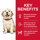 Hill's Science Diet Puppy Large Breed