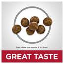 Hill's Science Diet Kitten Indoor Dry Cat Food